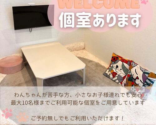 469381749_17938300160937994_2573181427195590970_n