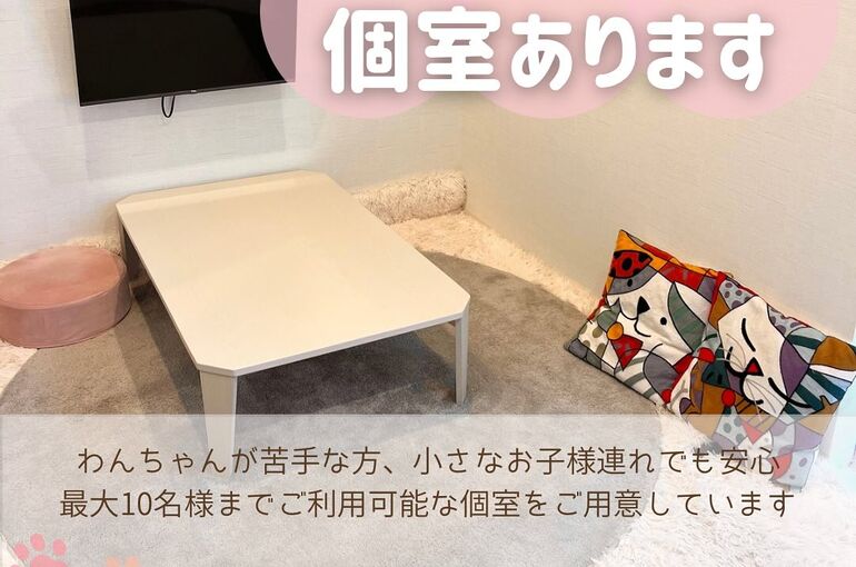 469381749_17938300160937994_2573181427195590970_n