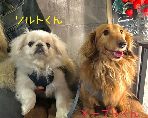 649195225_17989406669937994_238171364113570527_n