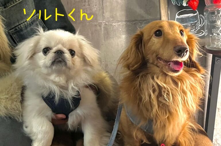 649195225_17989406669937994_238171364113570527_n